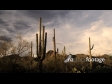 Arizona Desert Dusk 3225